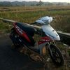 xnewgus_54p