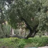 gsmsantrwa7