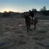 gonzalezrocio11