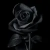 user3336210586630