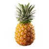 thefamouspineapple00