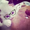 be.my.l0v3r0