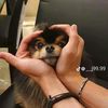 sayu030309jk.th