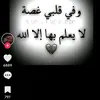 user9176179250997