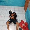 fidri994