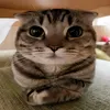 frohezng