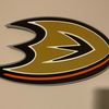 jjhockeyducks9