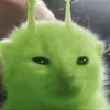 makomorory