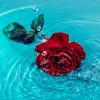 salma_wael1214