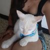anaa.053
