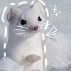 lilylike013