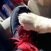 hector_7210
