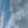 idolent.fyo