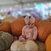 ira_08258