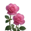 vncuocsongtuoidep