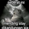 eghip18