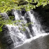 unknownsuser08