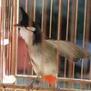 leenam466