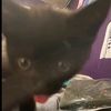 magixstar64