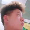dang_boller2008