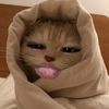 naaa_zlf4