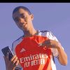 ethiomerlin