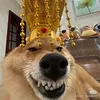 linda_89815