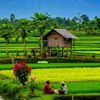 damarwulan2106