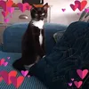 karenw570