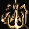zahrazaira8