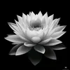phuonglam0706