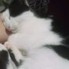 _ruangkosong48