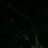 nadin_amizah00