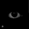 user97131921522473