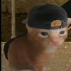 kozkaibidkf