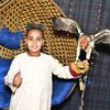mohammed.hamedy78