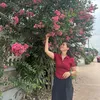 truongthihoa185
