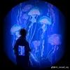 kieu_p.bao929