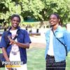 StingyBoyz