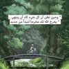7lm_q5