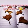 utpal.dhali90