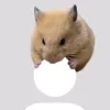 sleepnek210