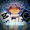 akhydz.editor