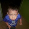pengarang_2709