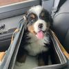 hugotheberner