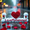hoor.fatma84