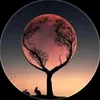 user.419003
