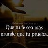 maria.reina.guerr6