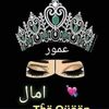 amel.ammour7