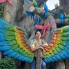 vo_phuon
